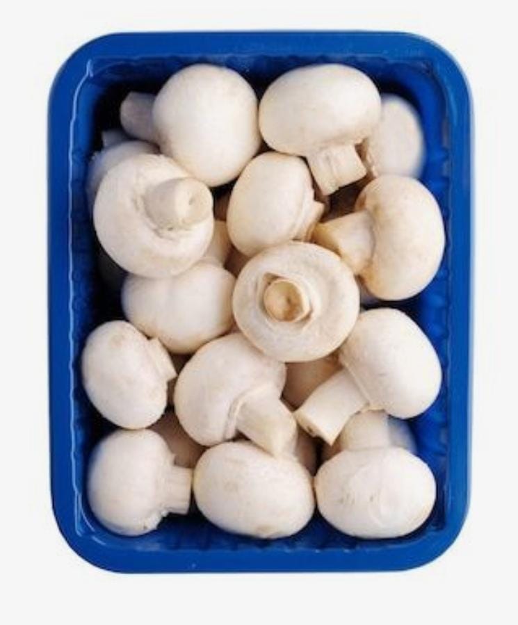 Mushroom Button
