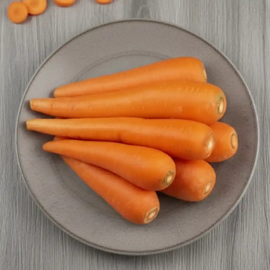 Carrot