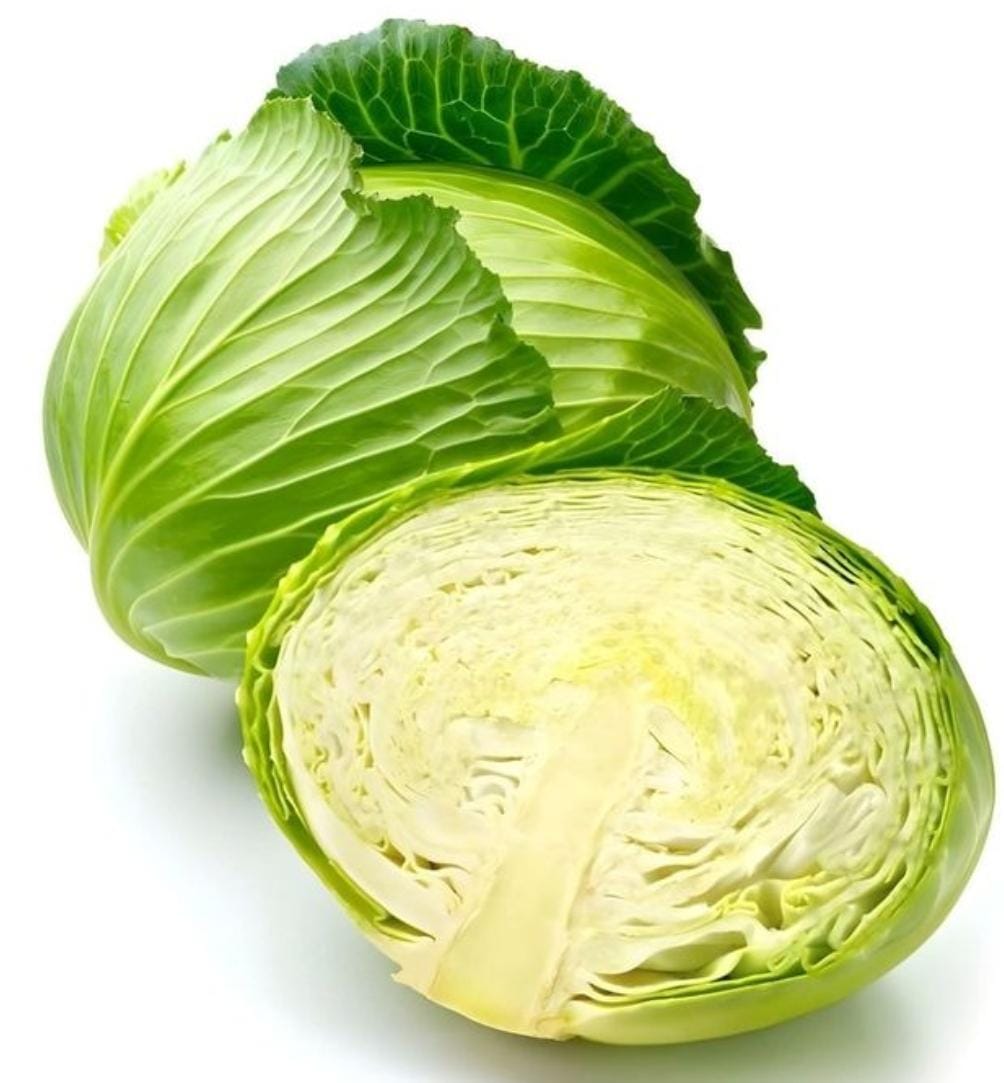 Cabbage