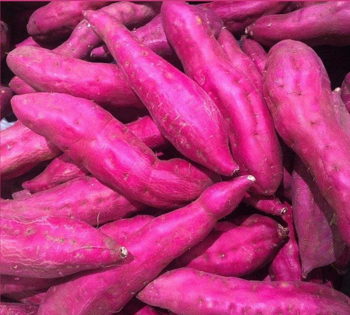 Sweet Potato