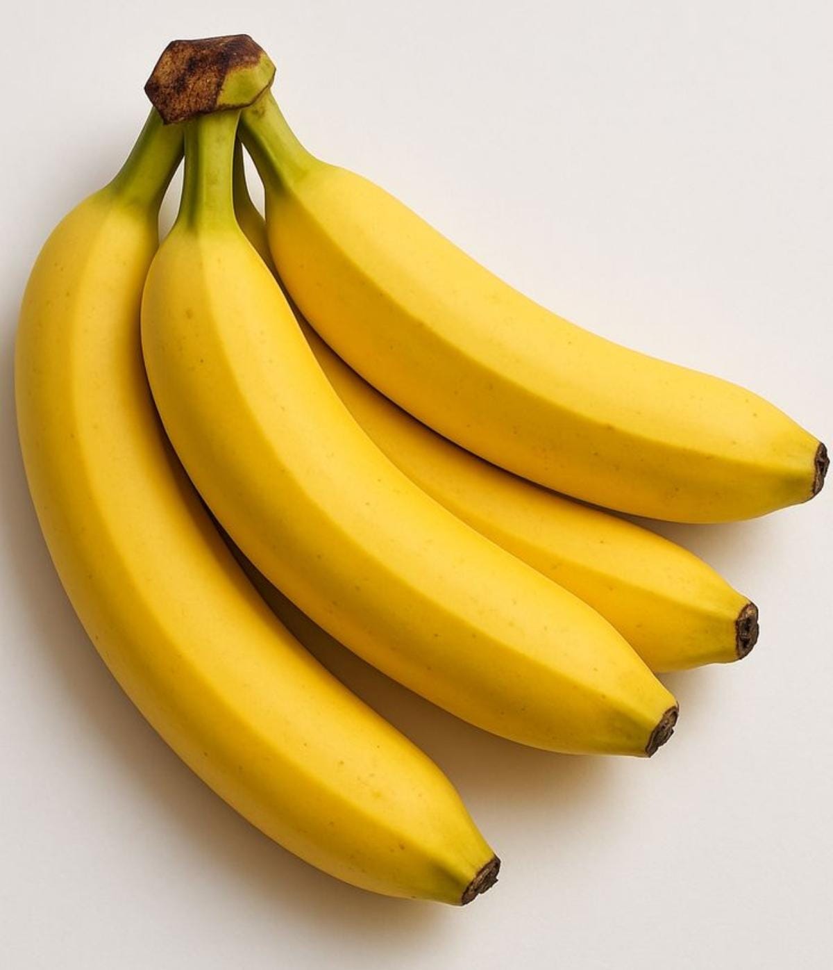 Banana Robusta