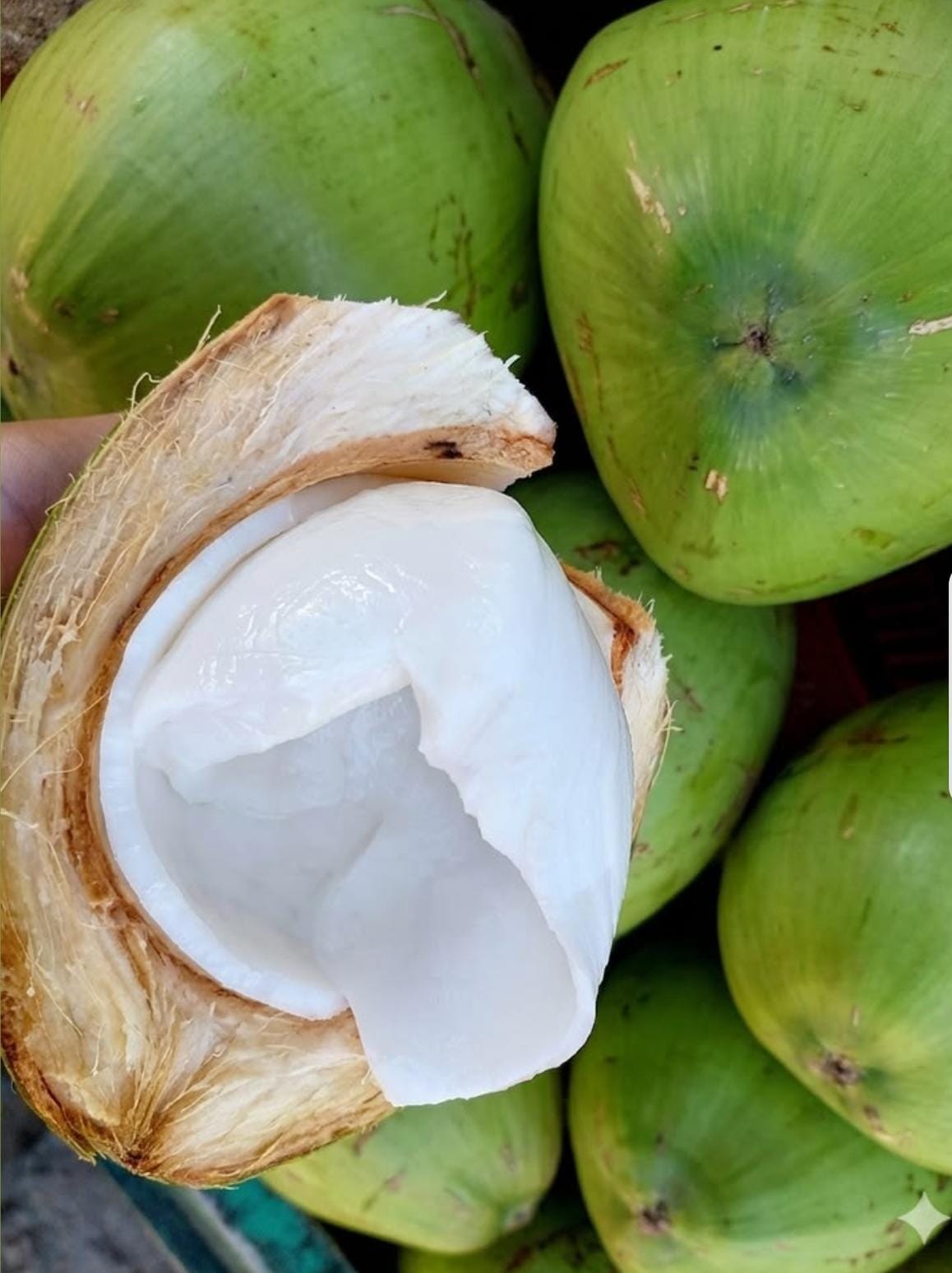 Tender Coconut