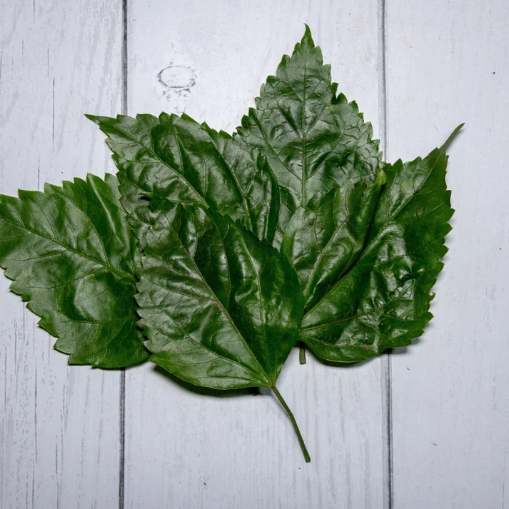Mandharam Aaku (Hibiscus Leaves)